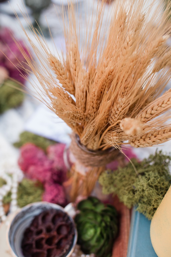 Steckle Homestead Wedding, Kitchener Wedding Photographer, Jess Collins Photography