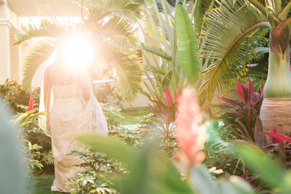 Destination Wedding Photographer, Jess Collins Photography, Orlando Wedding Photographer, Kitchener Wedding Photographer, Destination Wedding, Elopement Wedding Photographer, Moon Palace Cancun