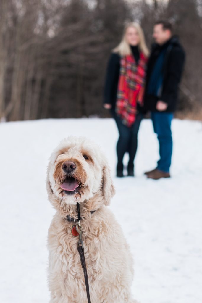 winter, winter engagement session, kitchener wedding photographer, kitchener photographer, huron natural area